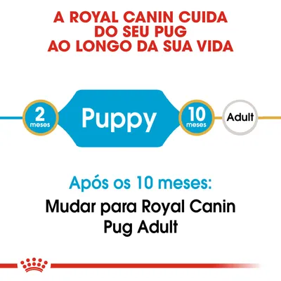 A Royal Canin cuida do seu pug ao longo da sua vida. Puppy dos 2 aos 10 meses. Após os 10 meses: mudar para Royal Canin Pug Adult.