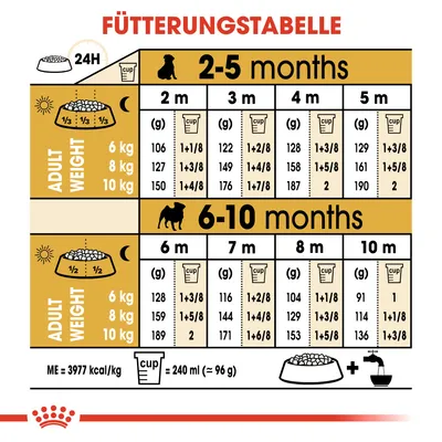 Fütterungstabelle für Hunde: Mengenangaben in Gramm und Cups basierend auf Alter (2-10 Monate) und Gewicht (6-10 kg). ME=3977 kcal/kg, 1 Cup=240 ml (96 g).