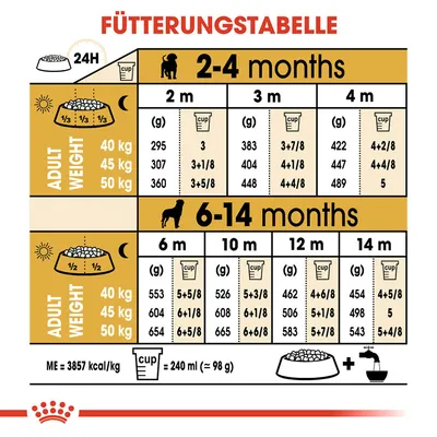 Fütterungstabelle für Hunde nach Alter und Gewicht: 2-4 Monate, 6-14 Monate. Angaben in Gramm und Cups. ME=3857 kcal/kg, 1 Cup=240 ml (98 g).