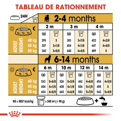 Tableau de rationnement pour chiens 2–14 mois, poids adulte 40–50 kg : quantités en grammes et tasses par âge. 1 tasse = 240 ml (≈98 g). ME = 3857 kcal/kg. Eau recommandée.