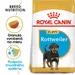 Royal Canin Rottweiler Puppy