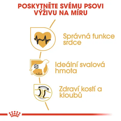 Poskytněte svému psovi výživu na míru: správná funkce srdce, ideální svalová hmota, zdraví kostí a kloubů.