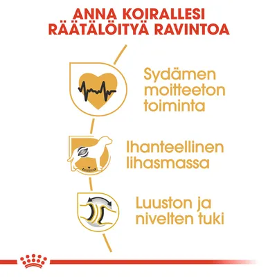 Anna koirallesi räätälöityä ravintoa. Sydämen moitteeton toiminta, ihanteellinen lihasmassa, luuston ja nivelten tuki.