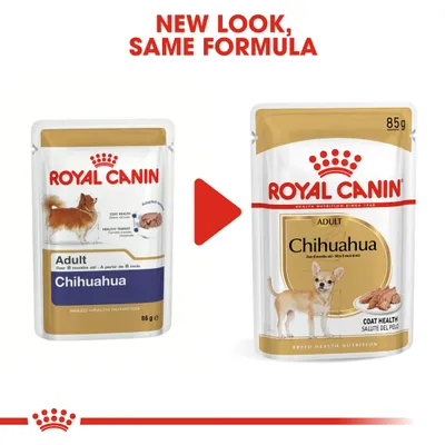 Royal Canin Chihuahua Adult Mousse