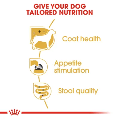 Teksti: GIVE YOUR DOG TAILORED NUTRITION. Otsikot: Coat health, Appetite stimulation, Stool quality. Kuvakkeet koirasta, ruokakupista ja ulosteesta.