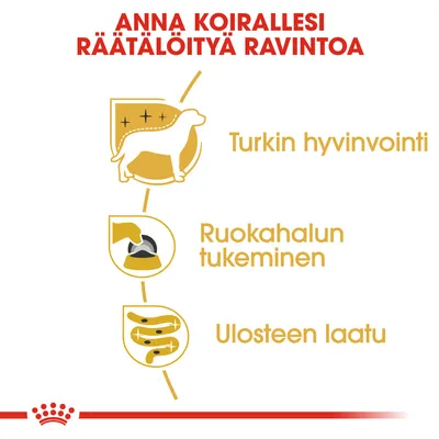 Anna koirallesi räätälöityä ravintoa. Turkin hyvinvointi, ruokahalun tukeminen, ulosteen laatu.