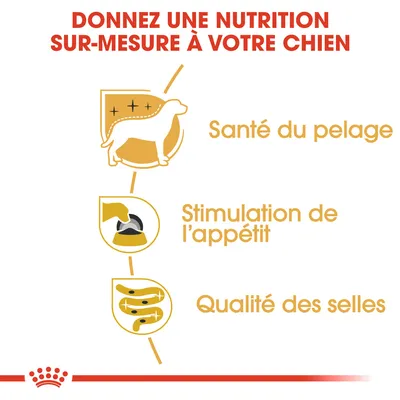 Donnez une nutrition sur-mesure à votre chien : santé du pelage, stimulation de l’appétit, qualité des selles. Texte en français belge.