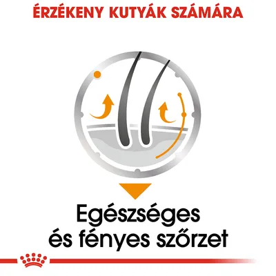 ÉRZÉKENY KUTYÁK SZÁMÁRA. Egészséges és fényes szőrzet