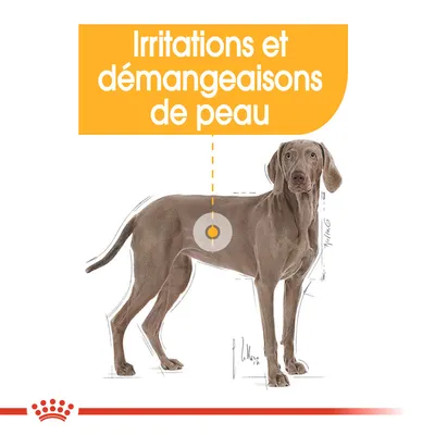 Irritations et démangeaisons de peau