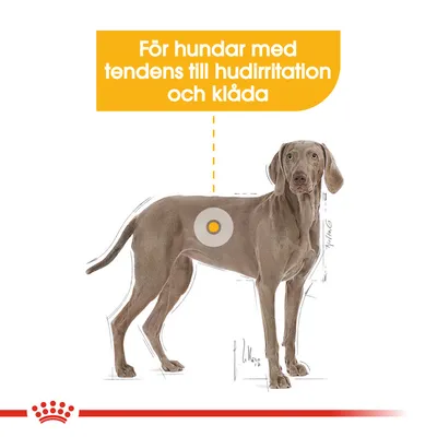 Text: För hundar med tendens till hudirritation och klåda. Illustration av hund med markerad punkt på sidan av kroppen.