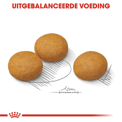 Drie ronde brokken met maatindicatie van 1 cm en de tekst 'UITGEBALANCEERDE VOEDING' erboven, geschikt voor vergelijking van brokgrootte.