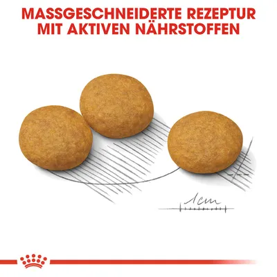 Massgeschneiderte Rezeptur mit aktiven Nährstoffen. Drei runde Kroketten, Durchmesser ca. 1 cm, auf skizzierter Darstellung.
