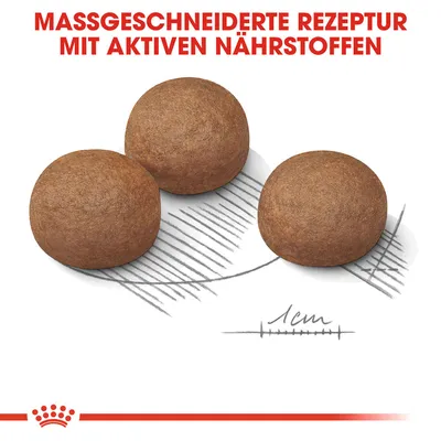 Massgeschneiderte Rezeptur mit aktiven Nährstoffen. Drei braune Kroketten, Durchmesser ca. 1 cm, auf skizzierter Darstellung.
