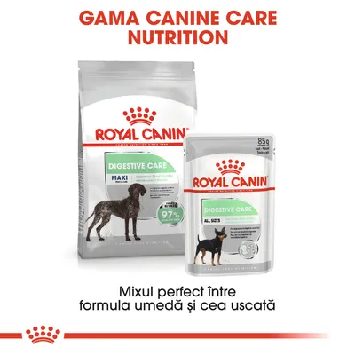 ROYAL CANIN DIGESTIVE CARE, pachet hrană uscată MAXI și plic hrană umedă ALL SIZES. Text: GAMA CANINE CARE NUTRITION. Mixul perfect între formula umedă și cea uscată.