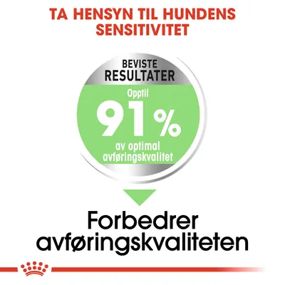 Royal Canin Medium Digestive Care