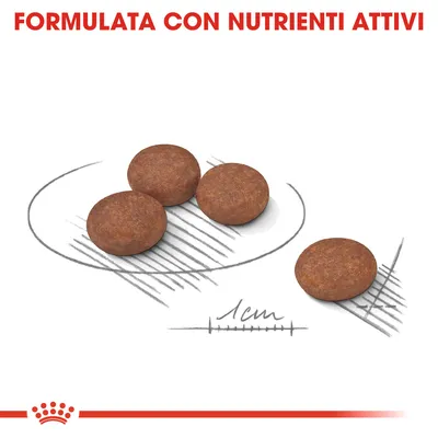 Quattro crocchette tonde con scala di riferimento 1 cm, testo in alto: FORMULATA CON NUTRIENTI ATTIVI.