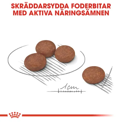 Fyra runda foderbitar, cirka 1 cm i diameter, med texten: Skräddarsydda foderbitar med aktiva näringsämnen.