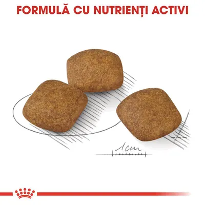 Trei crochete pătrate, fiecare de aproximativ 1 cm, cu textul „FORMULĂ CU NUTRIENȚI ACTIVI” deasupra. Fundal alb cu element grafic și logo roșu în partea de jos.