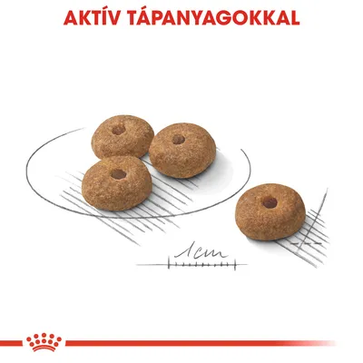 AKTÍV TÁPANYAGOKKAL felirat, négy kör alakú táp szemcsével, alatta 1 cm-es méretjelzés látható.