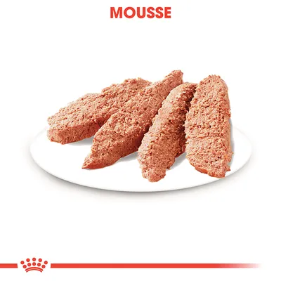 Assiette avec quatre parts de mousse pour animaux, texture pâtée. Texte visible : MOUSSE en haut de l’image.