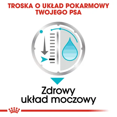 Troska o układ pokarmowy twojego psa. Zdrowy układ moczowy – tekst z grafiką kropli wody i strzałkami.