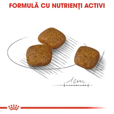 Trei crochete pătrate, dimensiune aproximativ 1 cm, cu textul „FORMULĂ CU NUTRIENȚI ACTIVI” deasupra. Imagine orientativă pentru mărimea și forma produsului.