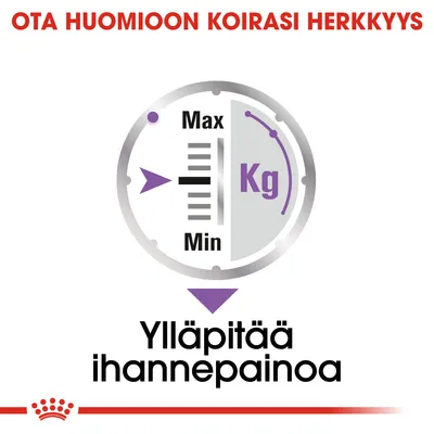 Ota huomioon koirasi herkkyys. Mittari, jossa Max–Min ja Kg. Teksti: Ylläpitää ihannepainoa.