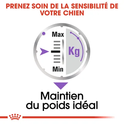Prenez soin de la sensibilité de votre chien. Cadran avec flèche, Max, Min, Kg. Maintien du poids idéal.