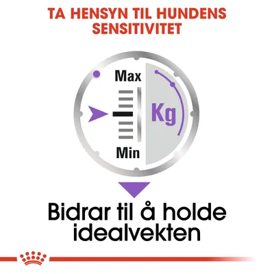 Royal Canin Sterilised Mousse