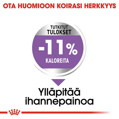 Ota huomioon koirasi herkkyys. Tutkitut tulokset: -11 % kaloreita. Ylläpitää ihannepainoa.