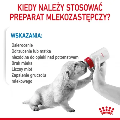Kiedy należy stosować preparat mlekozastępczy? Wskazania: osierocenie, odrzucenie lub matka niezdolna do opieki, brak mleka, liczny miot, zapalenie gruczołu mlekowego.