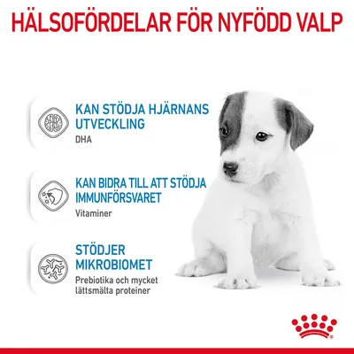 Hälsofördelar för nyfödd valp: kan stödja hjärnans utveckling (DHA), kan bidra till att stödja immunförsvaret (vitaminer), stödjer mikrobiomet (prebiotika, lättsmälta proteiner).