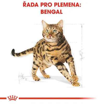 Řada pro plemena: Bengal. Ilustrace bengálské kočky s měřicími čarami v pozadí.