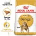 Royal Canin Bengal Adult