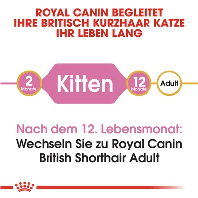 Texte en allemand : Royal Canin begleitet Ihre Britisch Kurzhaar Katze ihr Leben lang. Nach dem 12. Lebensmonat: Wechseln Sie zu Royal Canin British Shorthair Adult.