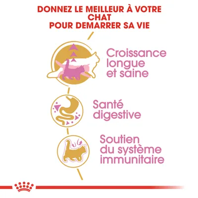 Donnez le meilleur à votre chat pour démarrer sa vie : croissance longue et saine, santé digestive, soutien du système immunitaire.