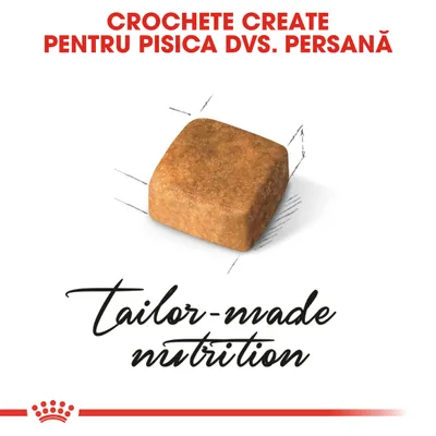 Royal Canin Persian Kitten