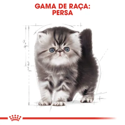Texto visível: GAMA DE RAÇA: PERSA. Ilustração de um gato persa com fundo branco e linhas de esboço ao redor. Logótipo Royal Canin na parte inferior.