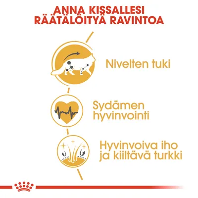 Anna kissallesi räätälöityä ravintoa. Nivelten tuki, sydämen hyvinvointi, hyvinvoiva iho ja kiiltävä turkki. Teksti ja symbolit näkyvissä kuvassa.