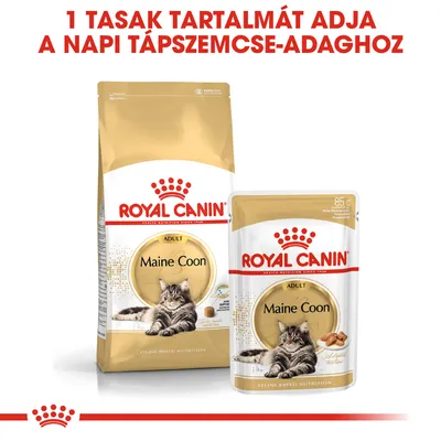 Royal Canin Maine Coon Adult száraz és nedves macskaeledel csomagolás, felül: 1 tasak tartalmát adja a napi tápszemcse-adaghoz