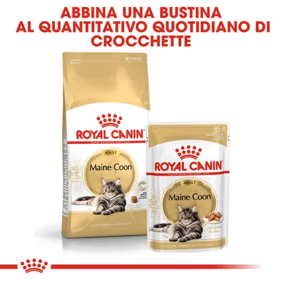 ROYAL CANIN Maine Coon Adult, confezione di crocchette e bustina da 85 g. Testo: Abbina una bustina al quantitativo quotidiano di crocchette.
