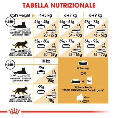 Tabella nutrizionale Royal Canin Maine Coon: dosi giornaliere consigliate in grammi per gatti sedentari e attivi da 4 a 10 kg, con opzione crocchette o crocchette più bustina.