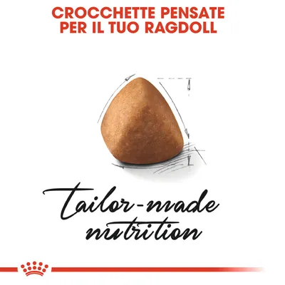 Crocchette pensate per il tuo Ragdoll. Immagine di una crocchetta con testo in inglese: tailor-made nutrition.