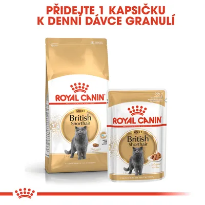ROYAL CANIN British Shorthair Adult granule a kapsička, text: Přidejte 1 kapsičku k denní dávce granulí