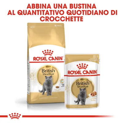 ROYAL CANIN British Shorthair Adult, confezione di crocchette e bustina da 85 g. Testo: Abbina una bustina al quantitativo quotidiano di crocchette.