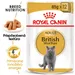 Royal Canin British Shorthair Adult v omáčke