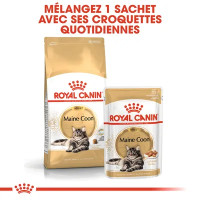 ROYAL CANIN Maine Coon Adult croquettes et sachet, texte visible : Mélangez 1 sachet avec ses croquettes quotidiennes. Sachet 85 g. Chat Maine Coon illustré sur l’emballage.