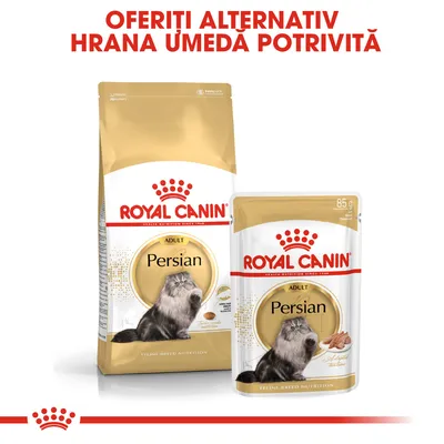 Pachet și plic Royal Canin Adult Persian pentru pisici, 85 g. Text vizibil: 'Oferiți alternativ hrana umedă potrivită'. Imagine cu o pisică persană pe ambalaj.