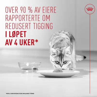 Royal Canin Appetite Control Care AirLift Mousse Royal Canin Appetite Control Care AirLift Mousse