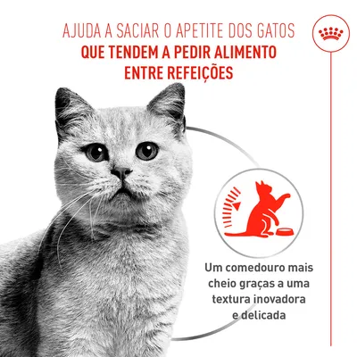 Royal Canin Appetite Control Care AirLift Mousse Royal Canin Appetite Control Care AirLift Mousse